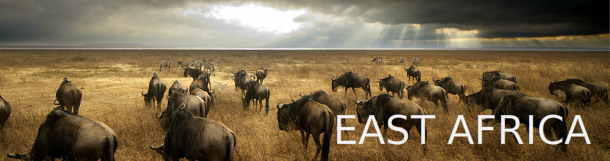 East Africa packages
